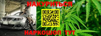 Альфа ПВП Краснознаменск