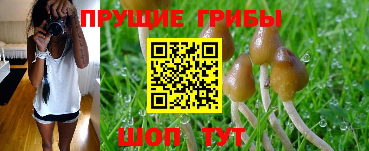 Тула  Галлюциногенные грибы GOLDEN TEACHER  Галлюциногенные грибы ЛСД  Вход с VPN 